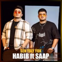 HABIB ft. SAAP - Sen yaly yok (official clip+MP3)
